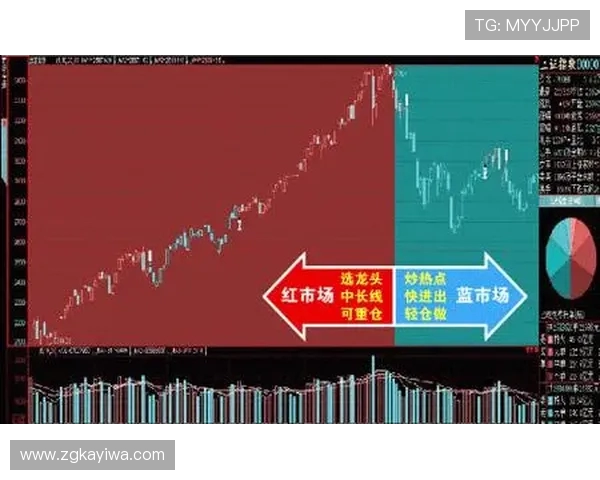 南京极限运动队防守策略解析与热点趋势探讨